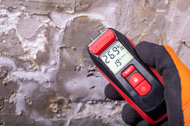 Best HVAC Mold Remediation in Jonesville, MI