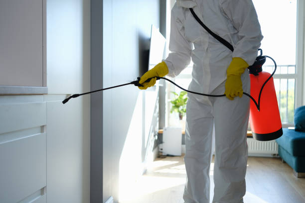 Best White Mold Remediation in Jonesville, MI