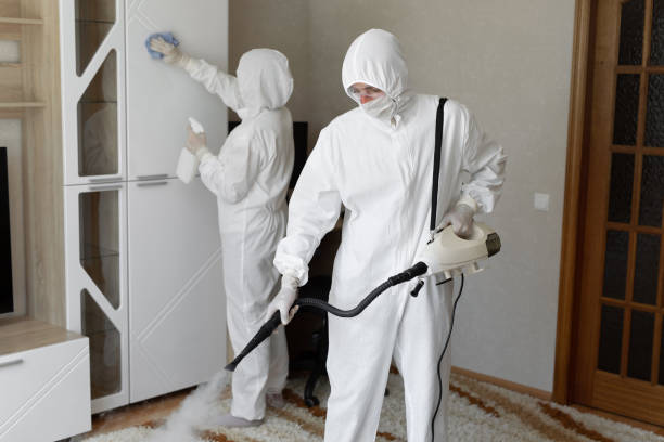 Best Post-Flood Mold Remediation in Jonesville, MI